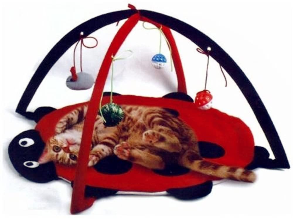 cat bouncy toys