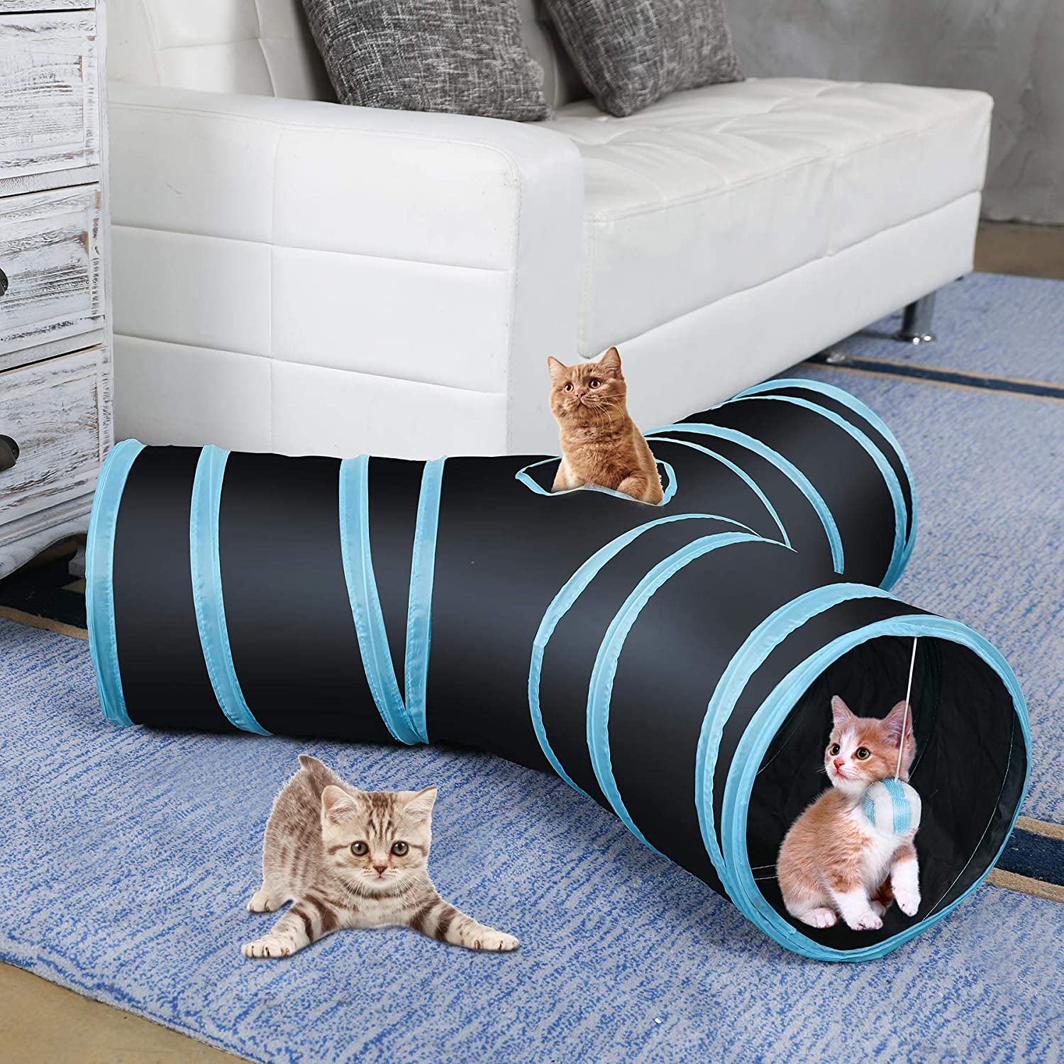 b&m cat tunnel